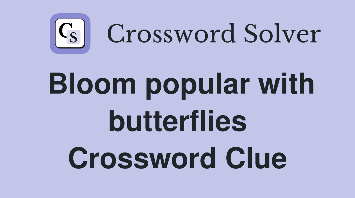 Bloom popular with butterflies Crossword Clue