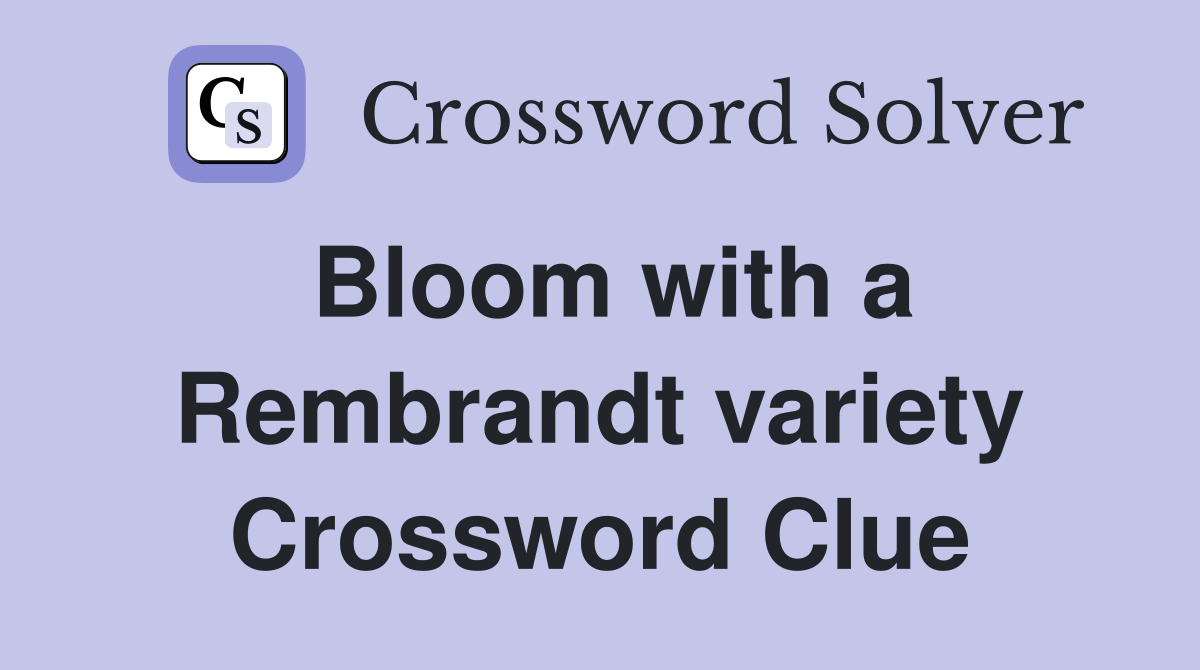 Bloom with a Rembrandt variety Crossword Clue
