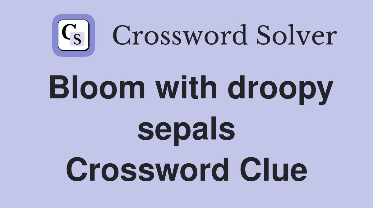 Bloom with droopy sepals Crossword Clue