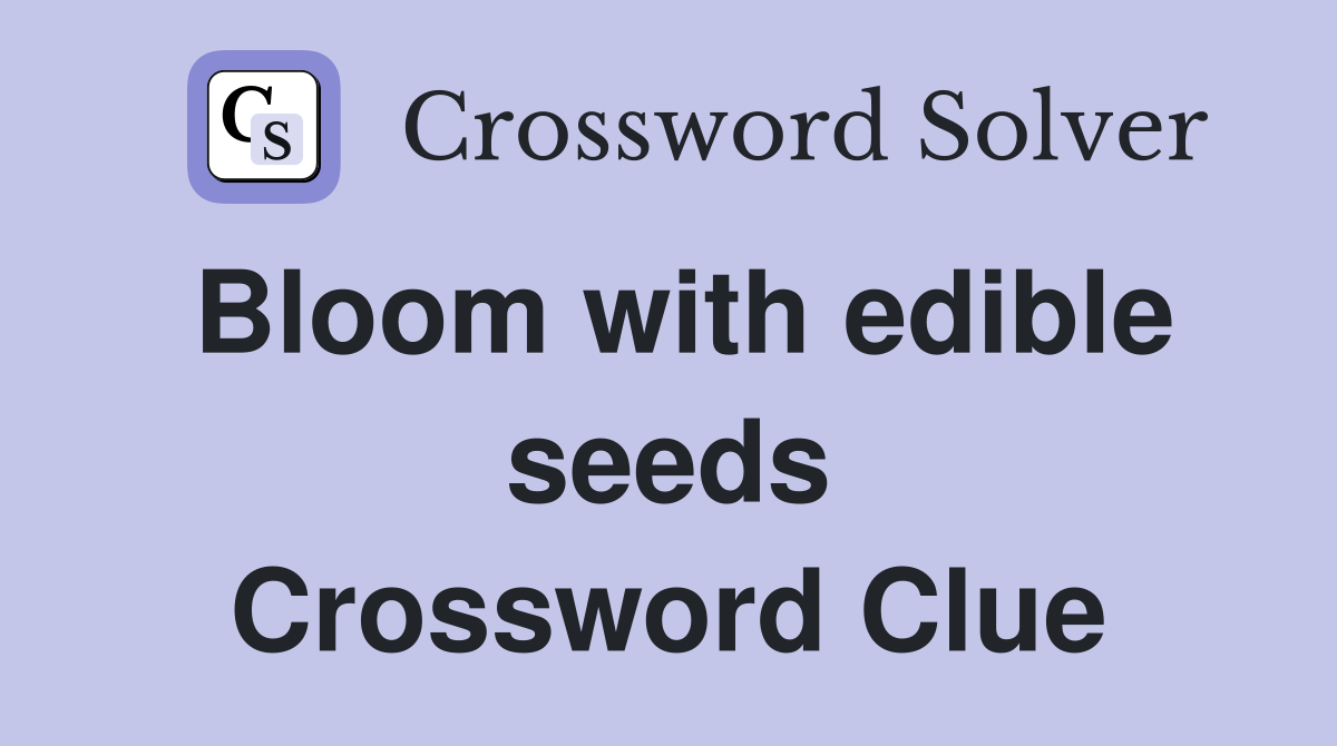 Bloom with edible seeds Crossword Clue