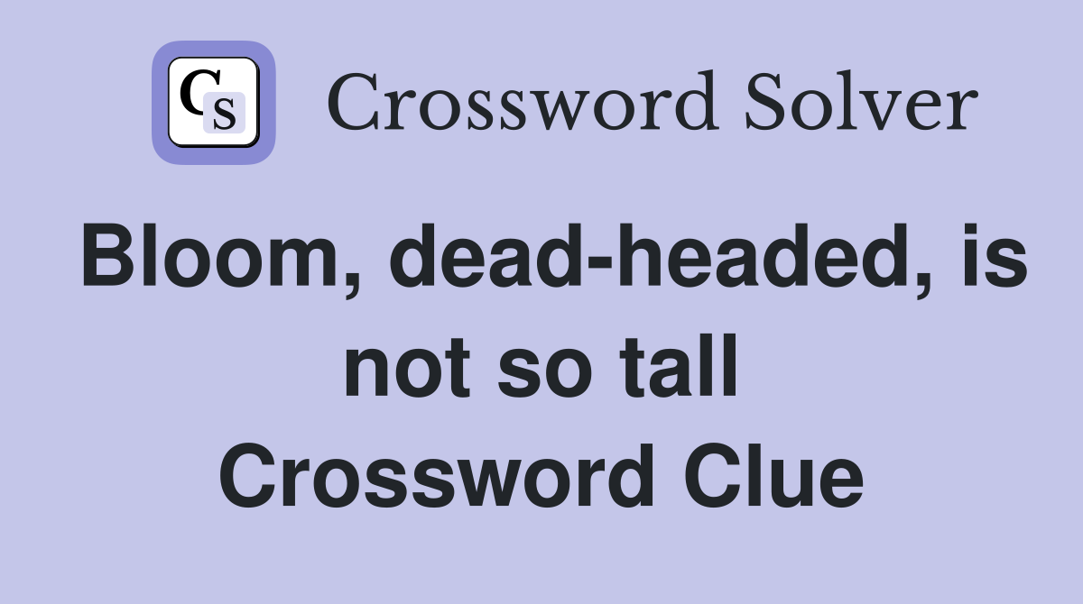 Bloom, dead-headed, is not so tall Crossword Clue
