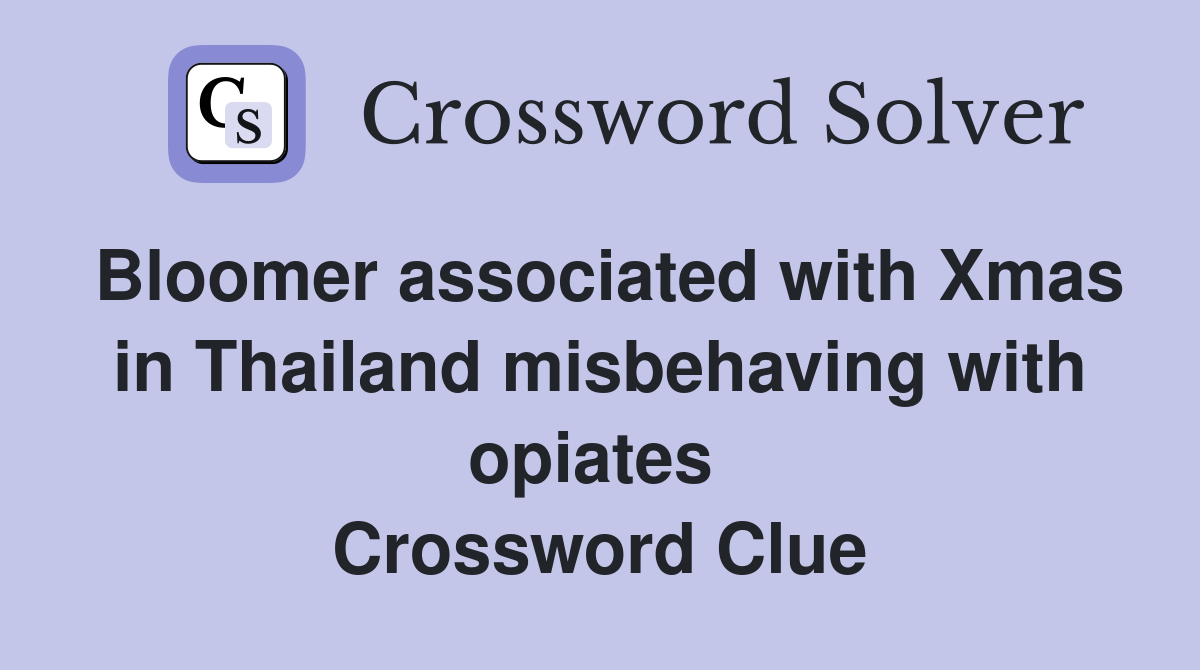 Bloomer associated with Xmas in Thailand misbehaving with opiates  Crossword Clue