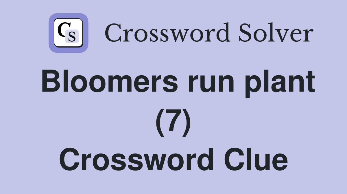 Bloomers run plant (7) Crossword Clue