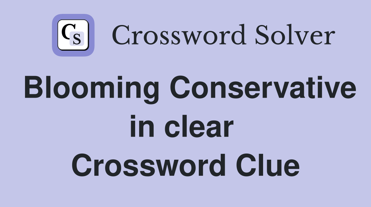 Blooming Conservative in clear  Crossword Clue