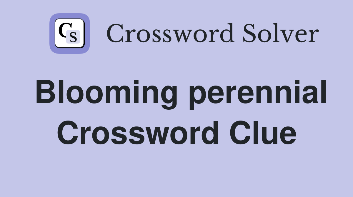 Blooming perennial Crossword Clue