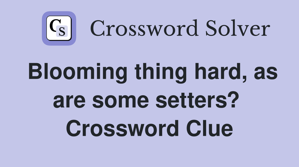 Blooming thing hard, as are some setters?  Crossword Clue