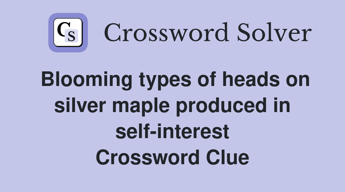 Blooming types of heads on silver maple produced in self-interest Crossword Clue