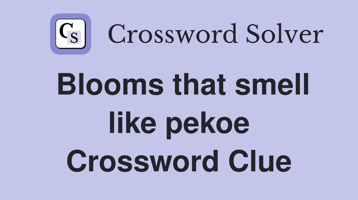 Blooms that smell like pekoe Crossword Clue