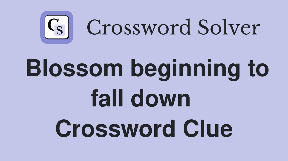 Blossom beginning to fall down  Crossword Clue