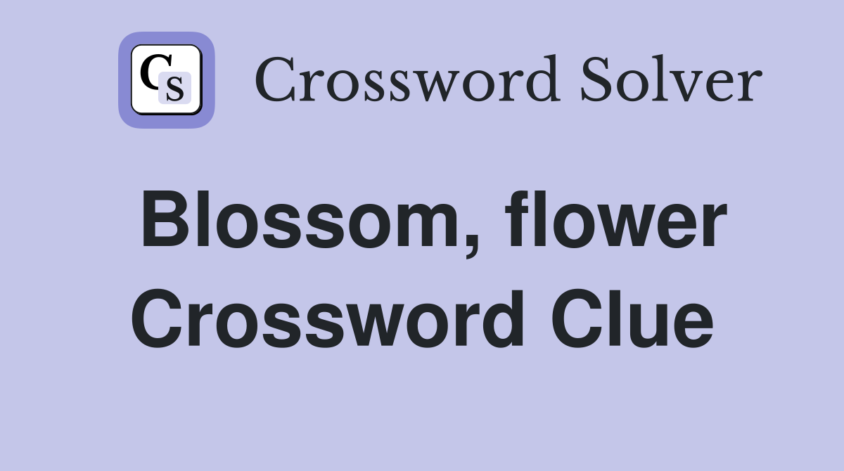 Blossom, flower Crossword Clue