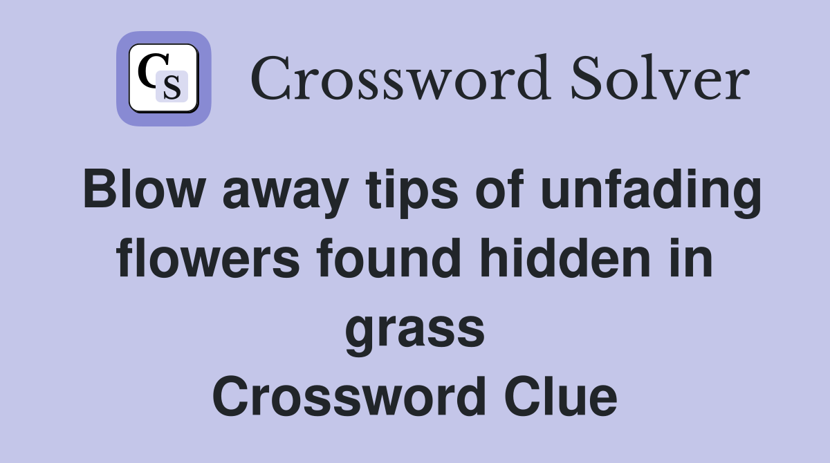 Blow away tips of unfading flowers found hidden in grass Crossword Clue