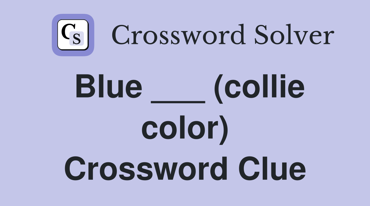 Blue ___ (collie color) Crossword Clue