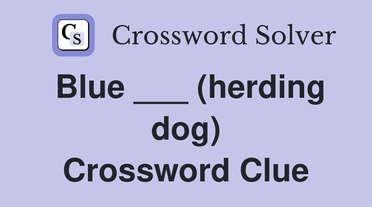 Blue ___ (herding dog) Crossword Clue