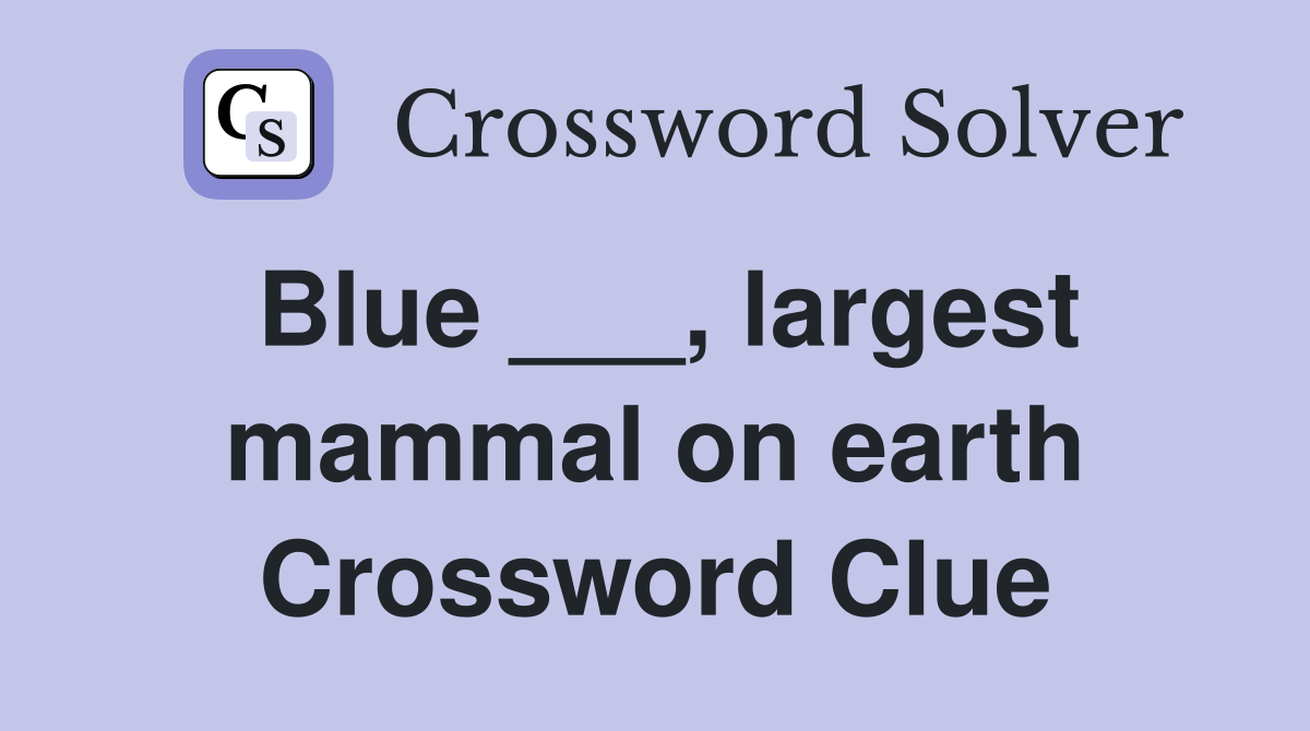Blue ___, largest mammal on earth Crossword Clue