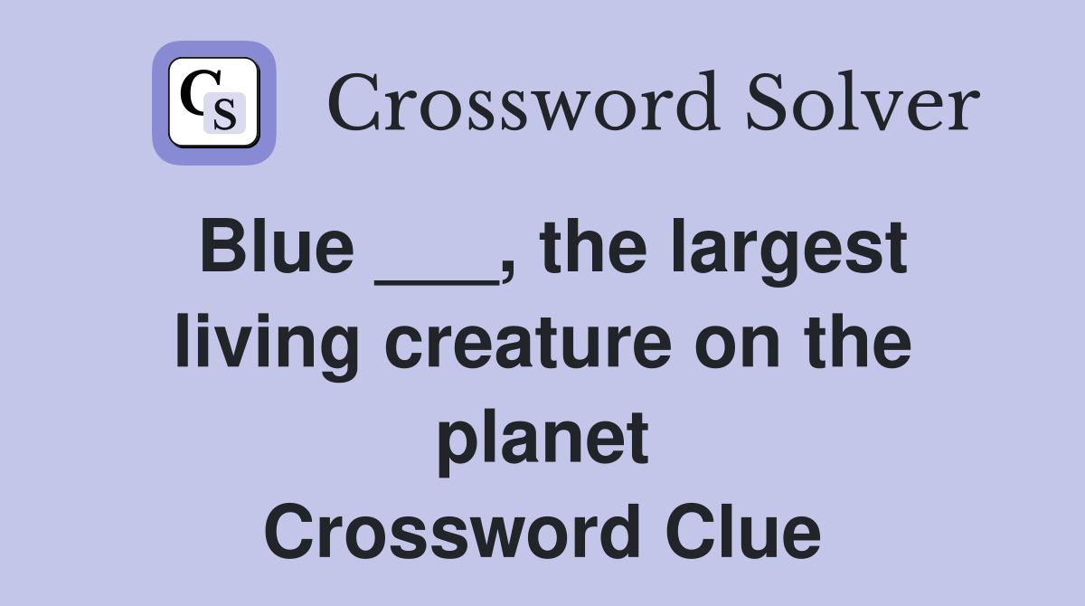 Blue ___, the largest living creature on the planet Crossword Clue