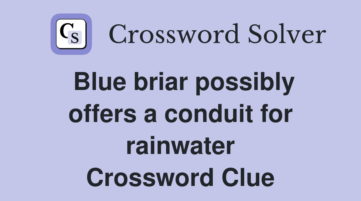 Blue briar possibly offers a conduit for rainwater Crossword Clue