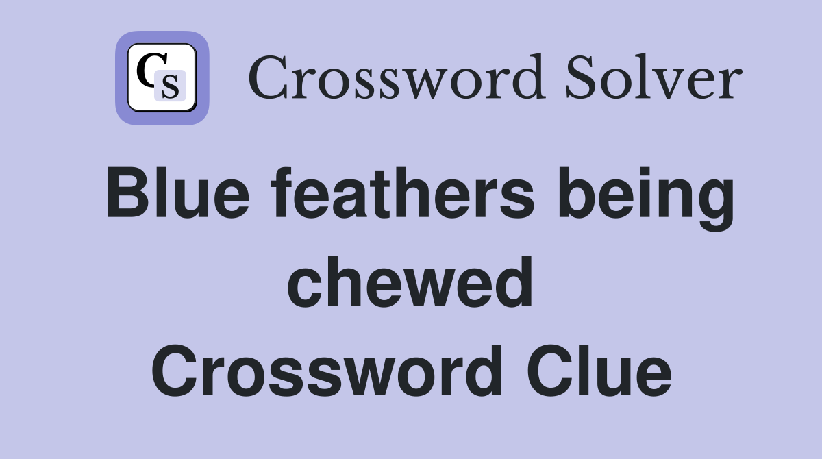 Blue feathers being chewed Crossword Clue