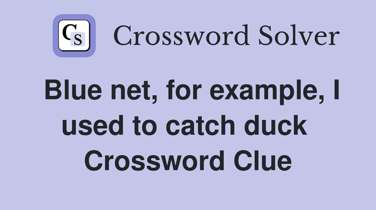 Blue net, for example, I used to catch duck  Crossword Clue