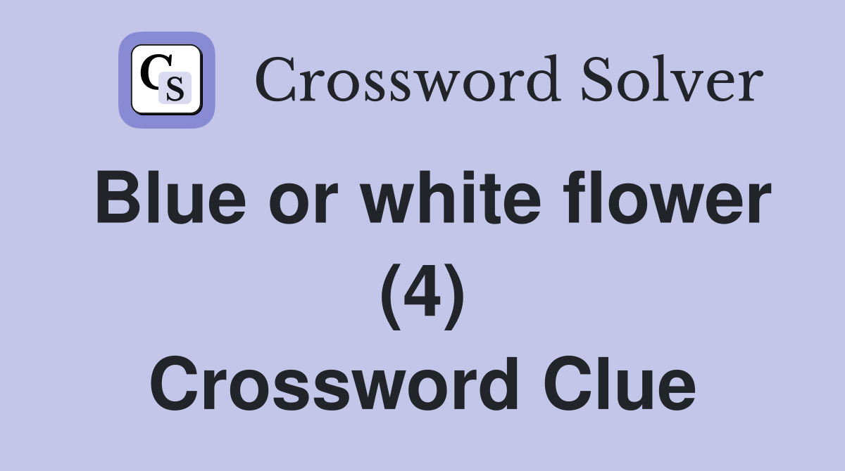 Blue or white flower (4) Crossword Clue