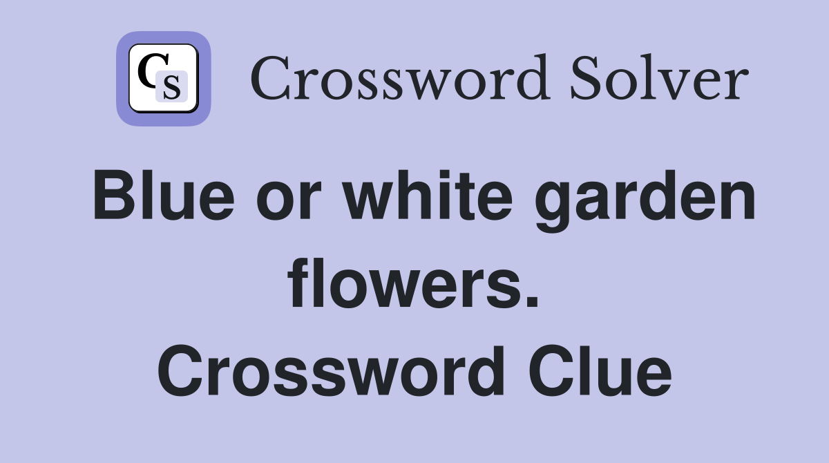 Blue or white garden flowers. Crossword Clue