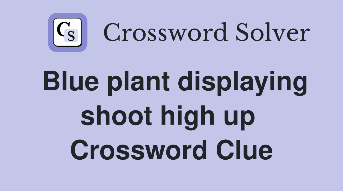 Blue plant displaying shoot high up  Crossword Clue