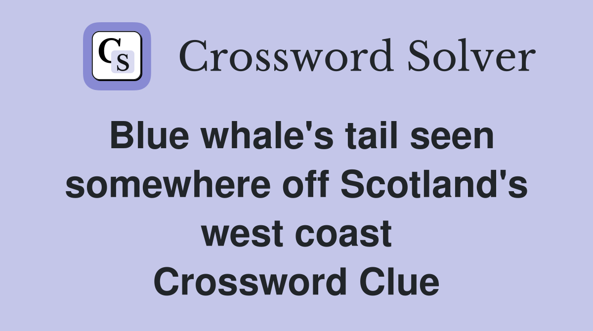 Blue whale's tail seen somewhere off Scotland's west coast Crossword Clue