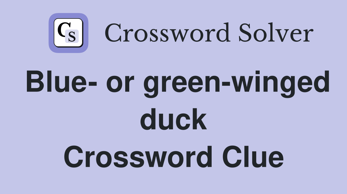 Blue- or green-winged duck Crossword Clue