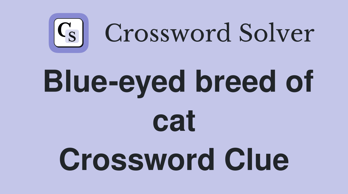 Blue-eyed breed of cat Crossword Clue