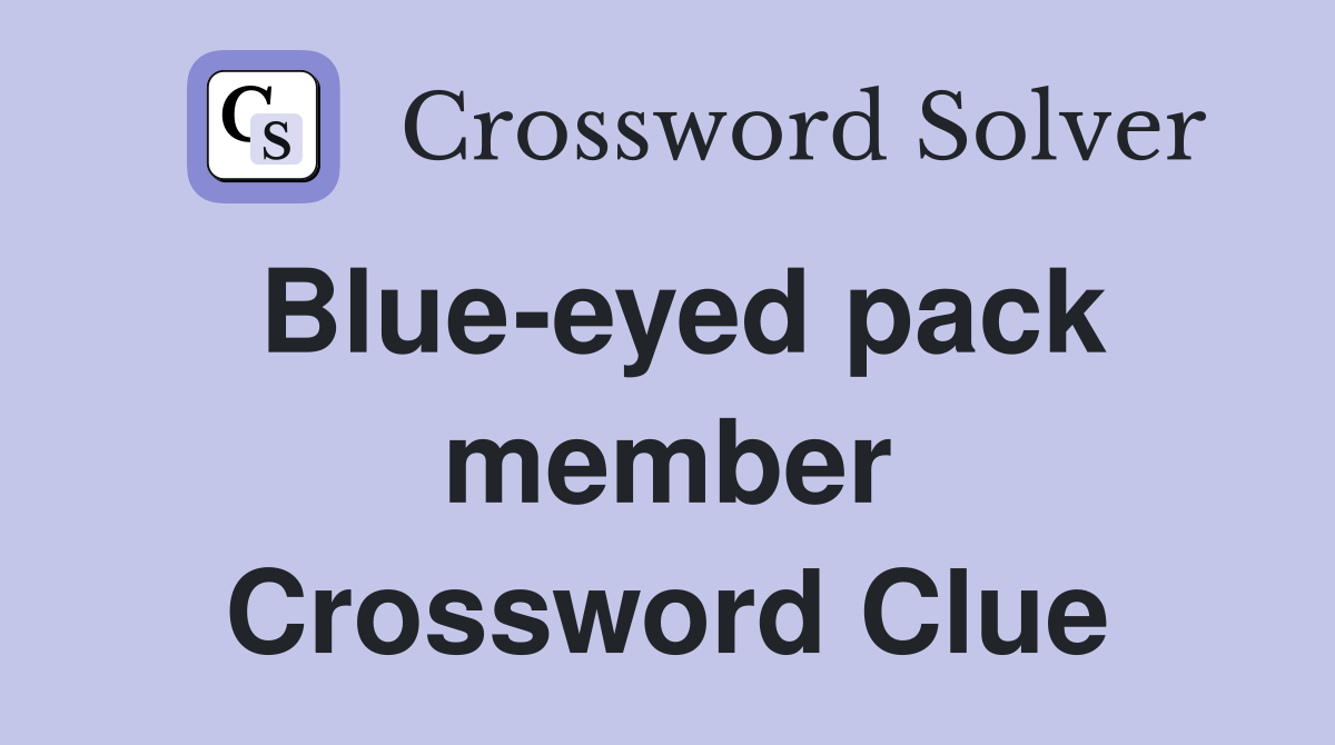 Blue-eyed pack member Crossword Clue