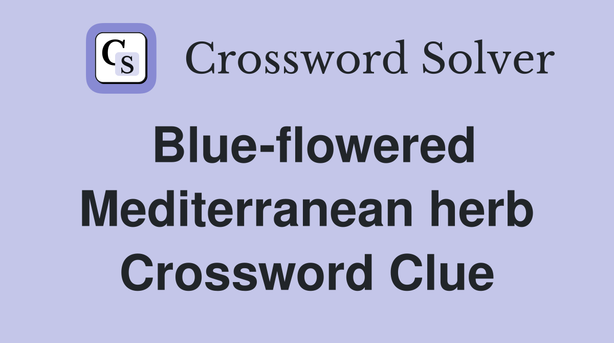 Blue-flowered Mediterranean herb Crossword Clue