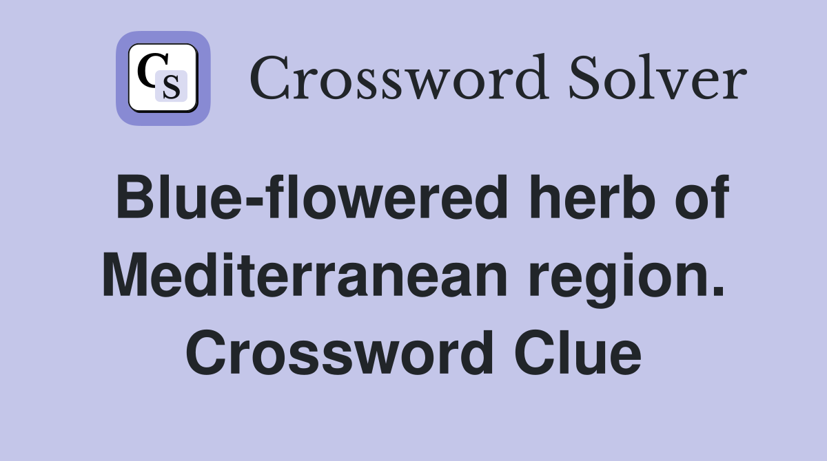 Blue-flowered herb of Mediterranean region. Crossword Clue