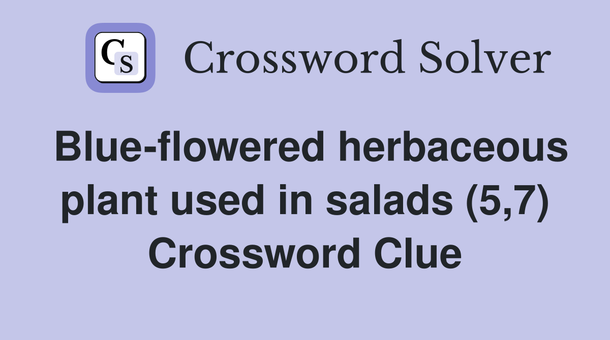 Blue-flowered herbaceous plant used in salads (5,7) Crossword Clue