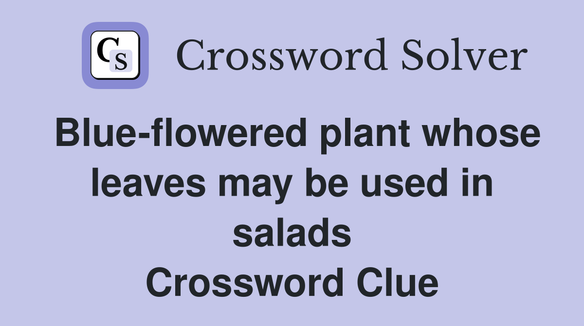 Blue-flowered plant whose leaves may be used in salads Crossword Clue