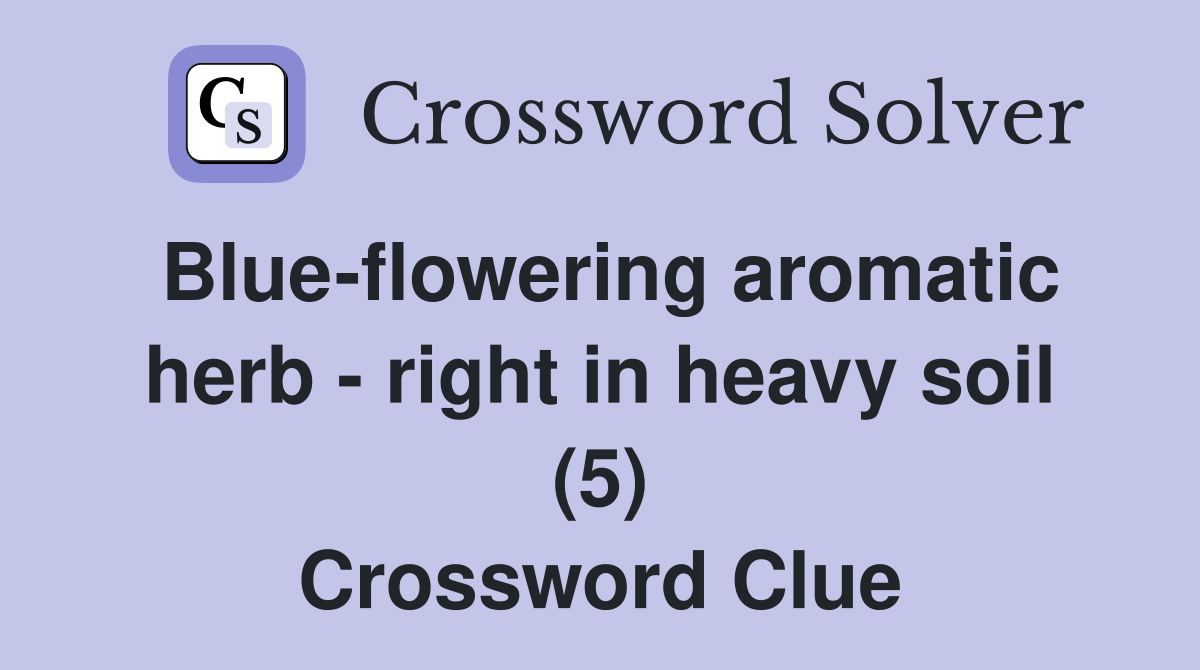 Blue-flowering aromatic herb - right in heavy soil (5) Crossword Clue