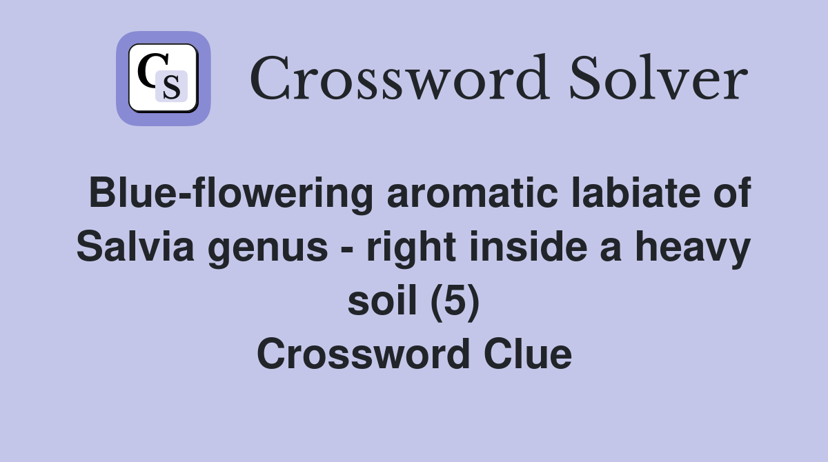 Blue-flowering aromatic labiate of Salvia genus - right inside a heavy soil (5) Crossword Clue