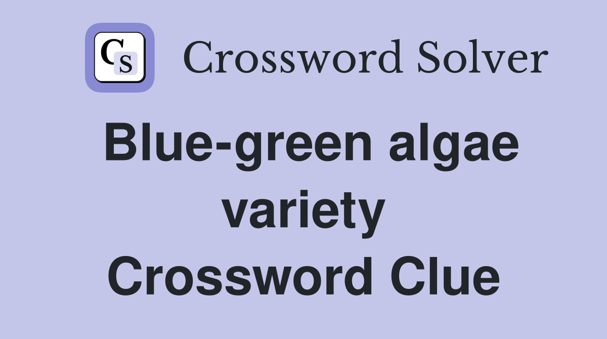 Blue-green algae variety Crossword Clue