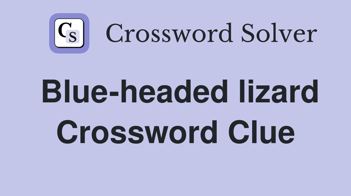 Blue-headed lizard Crossword Clue