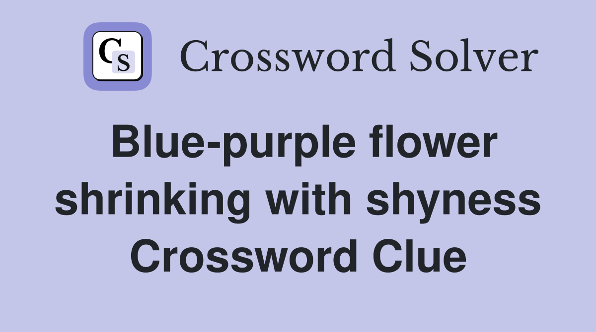 Blue-purple flower shrinking with shyness Crossword Clue