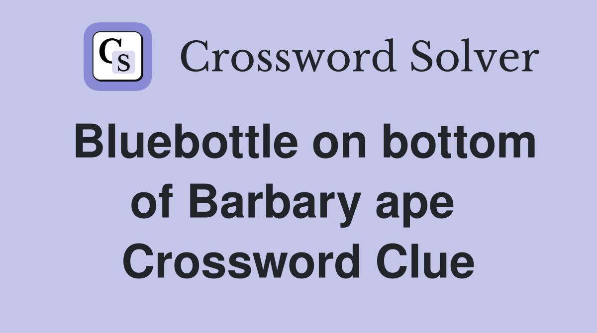 Bluebottle on bottom of Barbary ape  Crossword Clue