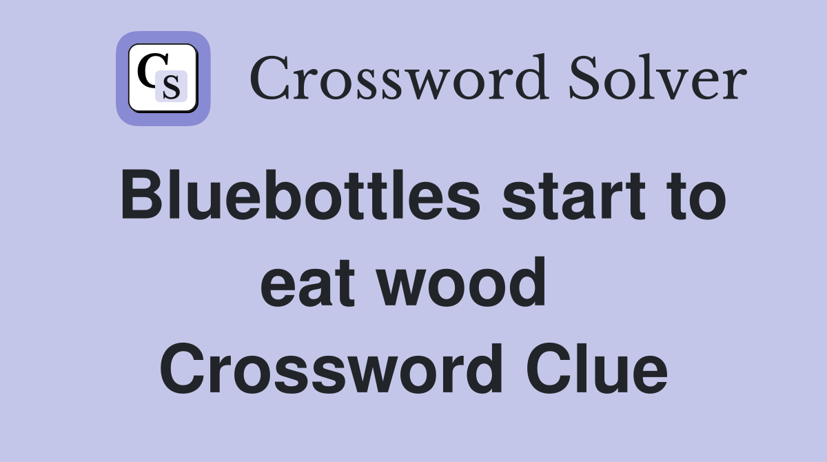 Bluebottles start to eat wood  Crossword Clue