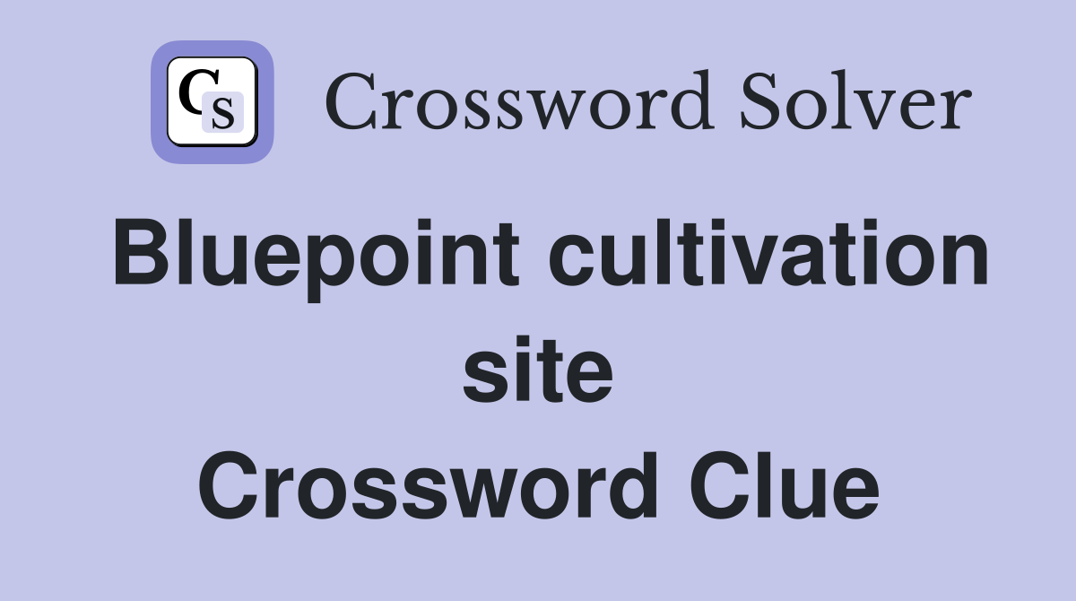 Bluepoint cultivation site Crossword Clue