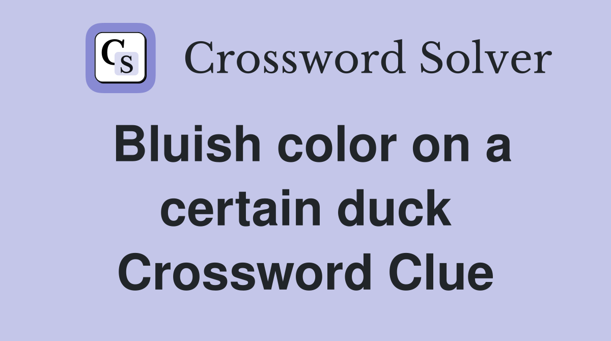 Bluish color on a certain duck Crossword Clue
