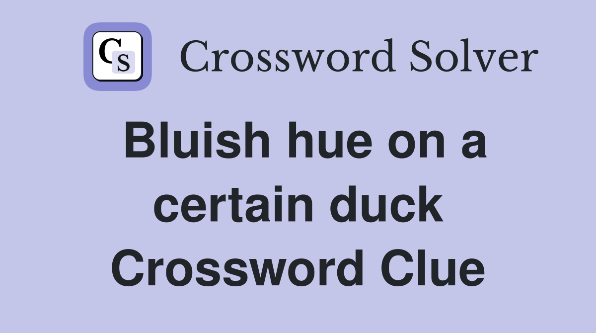 Bluish hue on a certain duck Crossword Clue