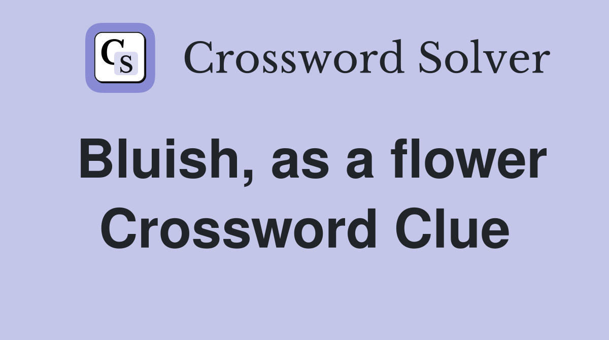Bluish, as a flower Crossword Clue