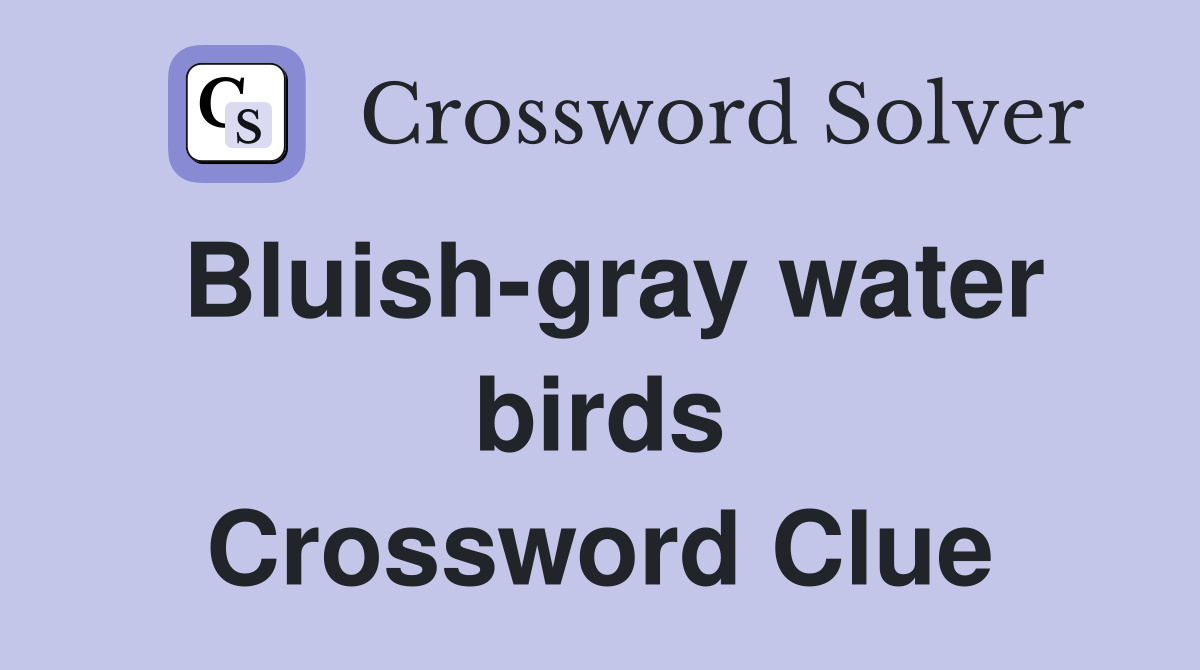 Bluish-gray water birds Crossword Clue