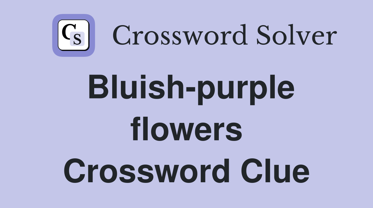 Bluish-purple flowers Crossword Clue