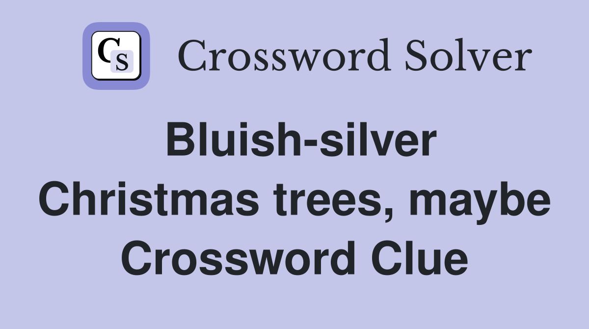 Bluish-silver Christmas trees, maybe Crossword Clue