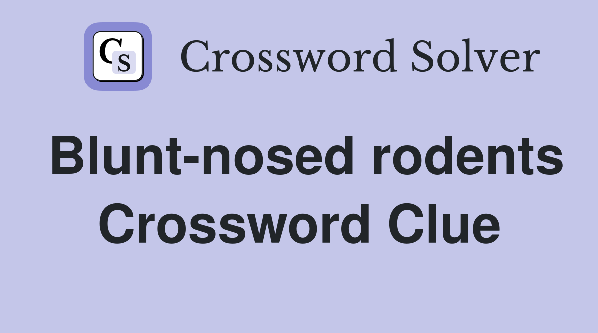 Blunt-nosed rodents Crossword Clue