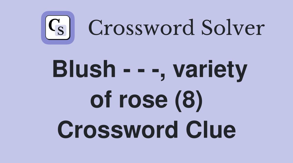 Blush - - -, variety of rose (8) Crossword Clue