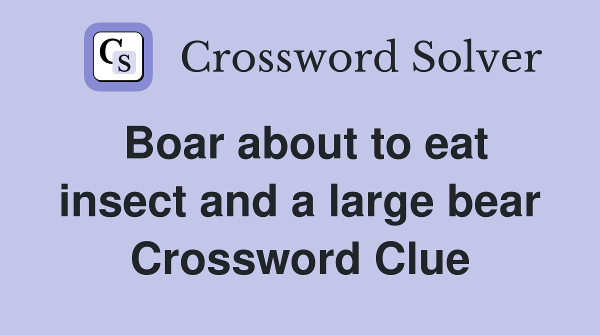 Boar about to eat insect and a large bear Crossword Clue